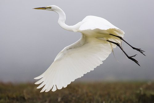 holw on to the bird in your hand before it flies away!