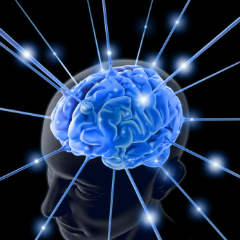 brain time!