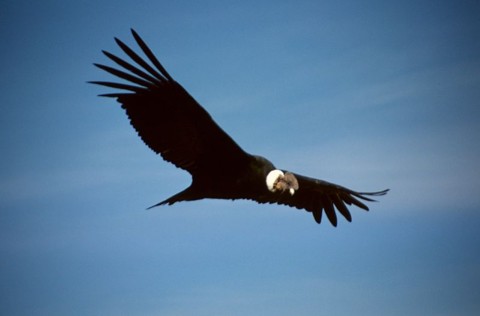 time to soar!