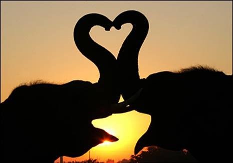 make your heart huge!