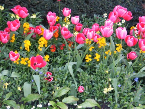 give and receive flowers