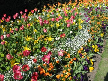time for daffodils and clutter clearing!