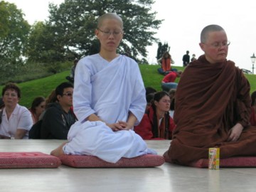 peace and tranquility all around