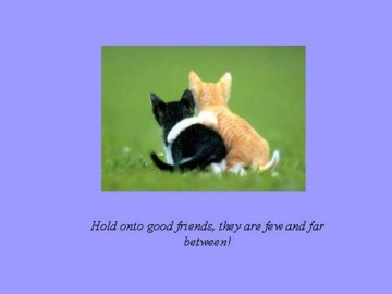 hold on to your friends!