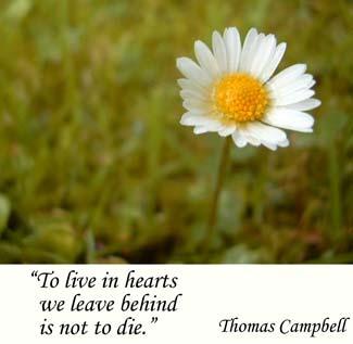 Celebrate life and cherish the memories of our loved ones