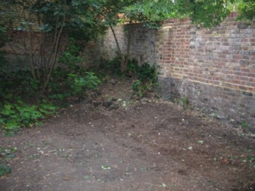 seeds sown at last!
