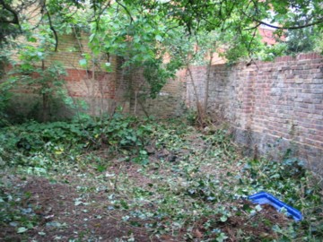 vegetable patch almost ready