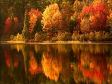 when god paints she uses all her colours!