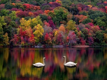 when god paints she uses all her colours!