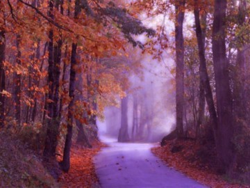 when god paints she uses all her colours!