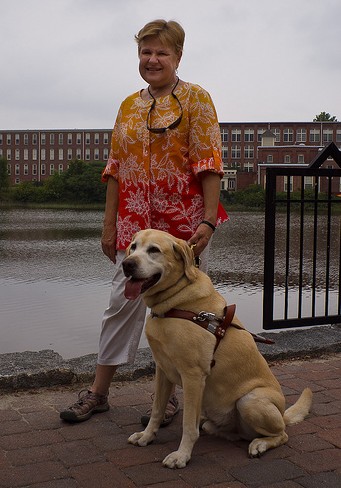 guide dog