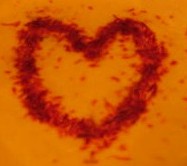 love is all that matters