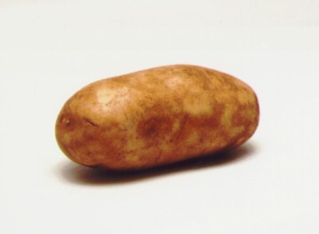 Its hard to be humble when you are a potato!