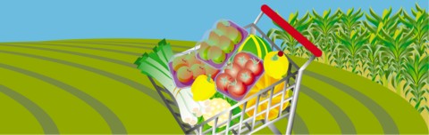 It is time to detox your life and your body