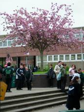 school where I started