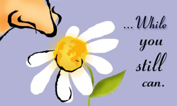 go smell a flower today!