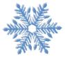 unique snow flake