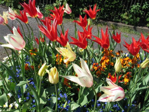 enjoy nature just for today