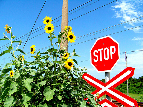 time to stop!