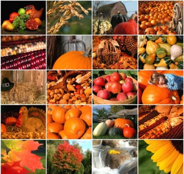 abundance is all around is - time to be grateful!